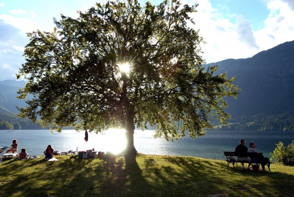 3 nap / 2 éjszaka 2 fő részére reggelivel, wellness-szel a Bohinji-tó közelében - Bohinj Eco Hote... - Bohinj ECO Hotel kupon